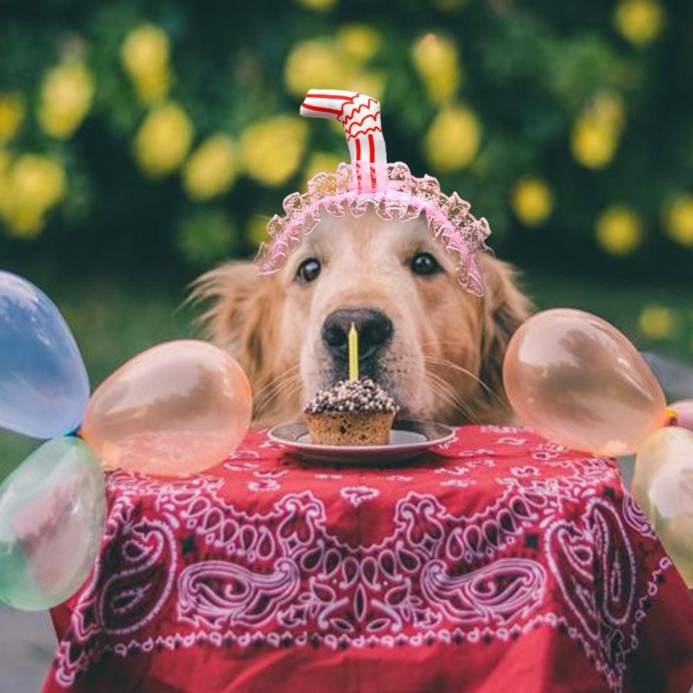 Lace Dog Hat Cap Pet Headwear Hats With Ear Holes Cute Straw Design Birthday Party Accessories eprolo